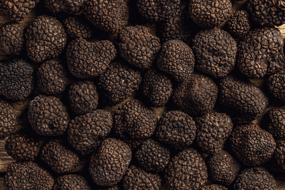 Embrace the Essence of Winter Truffles from Australia with Repertoire Culinaire