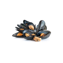 Chilled Mussels from Ireland Organic GDP | per kg