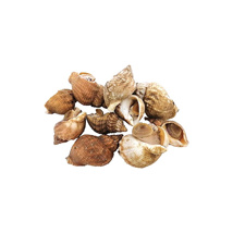 Chilled Whelks Bulots GDP | per kg