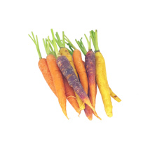 Fresh Mixed Coloured Carrots GDP | per kg