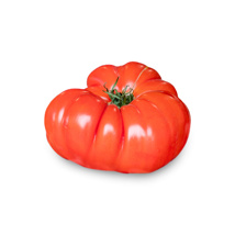 Fresh Tomato Marinda from Italy GDP | per kg