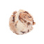 Tiramisu Ice Cream Dlight 4L | Box w/4units