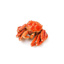 Chilled King Crab Norway GDP w/Cluster L3 aprox. 1.1kg | per pcs