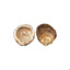 Belon Oysters N ° 0 GDP | Box w/25pcs