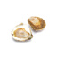 Belon Oysters N ° 5 GDP | Box w/25pcs