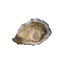 Oysters Fine Selection Large n°2 Fabrice Tessier GDP | Box w/12pcs