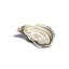 Oysters Fine Selection Large n°2 Fabrice Tessier GDP | Box w/48pcs