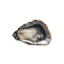 Oysters Perles n°2 Parcs De L'Imperatrice GDP | Box w/50pcs 