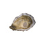 Oyster Speciale Agathe Mediterranean n°2 GDP | Box w/50pcs