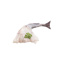 Frozen Monkfish Tail Peeled 500/1000gr Stargel | 5kg Box