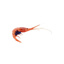 Frozen IQF Blue Belly Shrimp 70-100 pcs/kg Hispamare