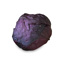 Fresh Red Cabbage GDP | per kg