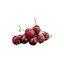 Fresh Cherry GDP | per kg