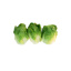 Fresh Sucrine Salad Green  GDP 500gr Tray | Box w/5trays