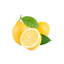 Fresh Lemon w/Leaves GDP | per kg