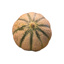 Fresh Melon Charentais GDP | per Tray