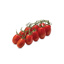 Fresh Tomato Mini San Marzano GDP | per kg