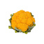 Fresh Yellow Cauliflower GDP | per kg