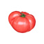 Fresh Tomato Rose De Berne GDP | per kg