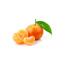 Fresh Mandarine Orri from Spain GDP | per kg