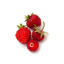 Fresh Wild Strawberry 100gr Tray GDP | Box w/10trays