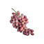 Fresh Pink Grape GDP | per kg