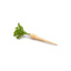 Fresh Parsley Roots GDP | per kg