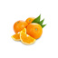 Fresh Orange Navelate Llusar from Spain GDP | per kg