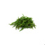 Fresh Salicornia GDP | per kg