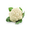 Fresh White Cauliflower GDP aprox. 1kg/pcs  | Box w/8pcs