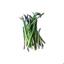 Fresh Wild Asparagus 200gr Tray GDP | Box w/5trays