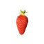 Fresh Strawberry Gariguette Marmandis GDP 250gr X 8 punnet